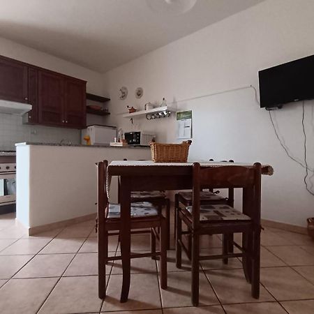 Piccione Marittimo Appartamento Vicinanze Mare Livorno Exterior foto